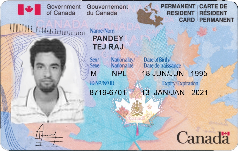 Buy real residence card online