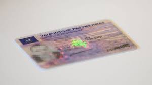Lithuanian drivers license